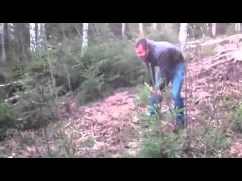 Shoulder Barge Football