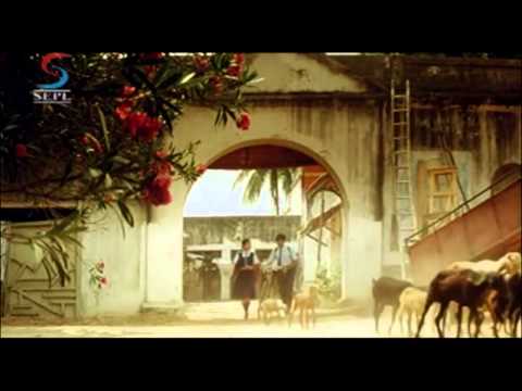 Tolly Bolly Movie | Hogi Pyar Ki Jeet | 2010 | Nitin - Sada -...