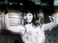 Excellent Egyptian bellydancer.