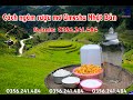 Cách ngâm rượu mơ Umeshu Nhật Bản