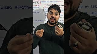How Enzymes Works Enzyme Lower The Activation Energy