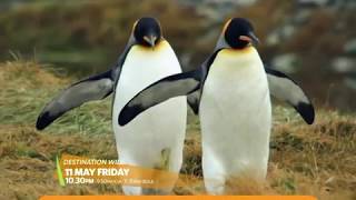 Highlights National Geographic Wild Channel Nexmedia Ch.202 May 2018