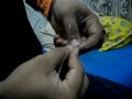 Perambut
