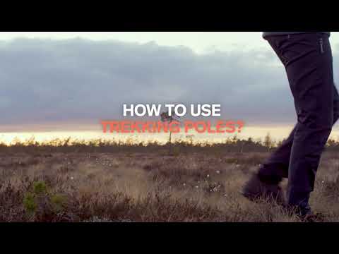 Trekking Poles Carbon Trekking Poles Carbon