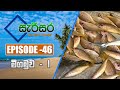 Sarisara Episode 46