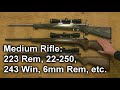 rifles