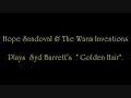 Hope Sandoval & The Warm Inventions/Golden Hair