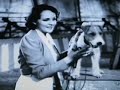 112 Years Of Dogs In Movies Rin Tin Tin Lie ...