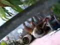 BAÑANDOSE AFUERA DE LA CASA.3gp