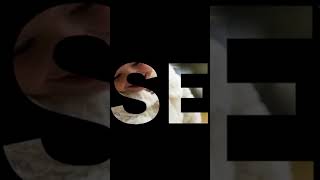 Seyit Kuranda Geçiyor Mu? Seyid İsminini Anlamı Nedir? Seyyid Ne Demek?
