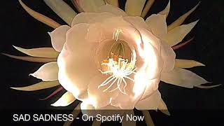 Sad Piano Music Instrumental Sad Sadness By Mark Andrew Hansen Sad Piano Music Instrumental Sad Sadness By Mark Andrew Hansen