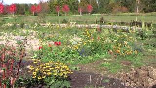 Watch Stephen Gordon Field And Flower video
