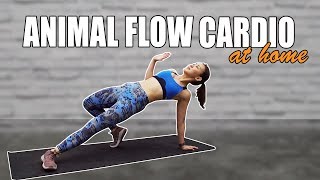 Fun Animal Flow Cardio at Home (No Weights!) | Joanna Soh