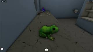 Get Eaten By A Frog Girl Showcase Roblox Vore Game