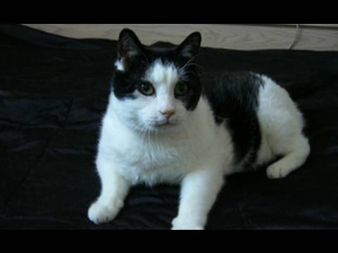 RIP Flippy