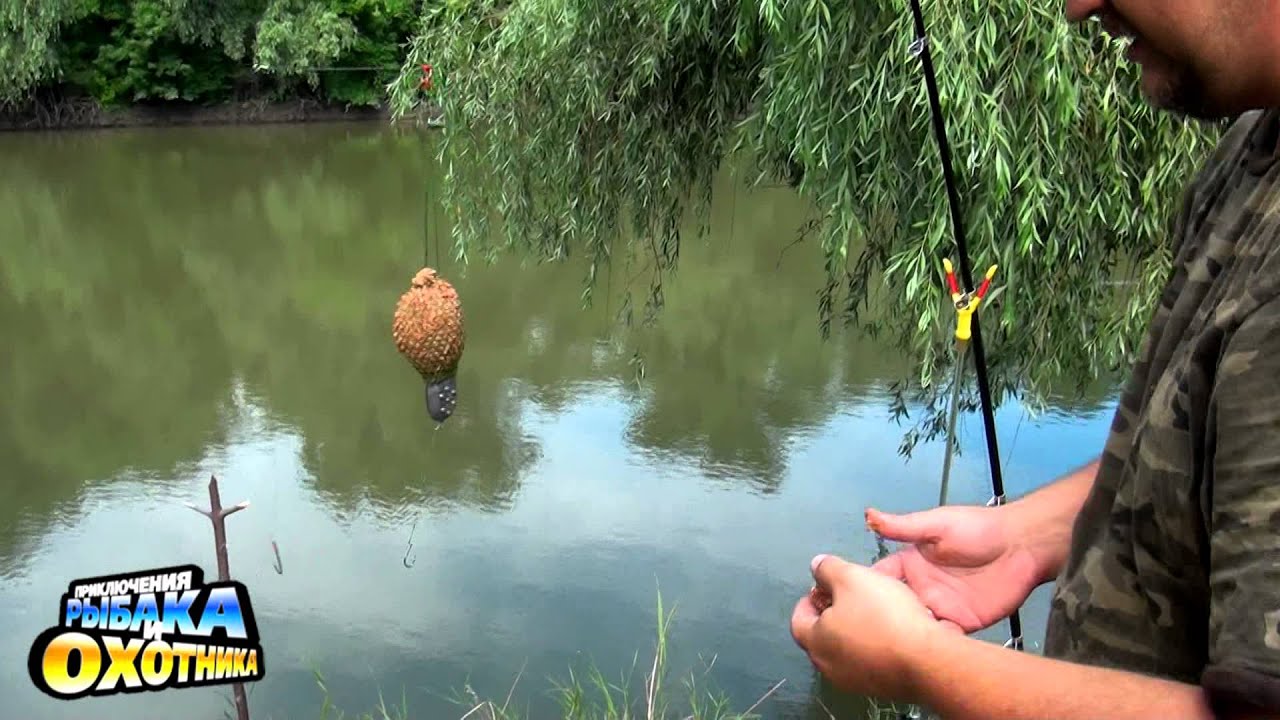 на что ловить карпа крупного на что ловить карпа крупного