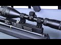 .25 cal airgun