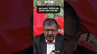 Hayati İnanç - Gerçek Aşk Yanmayı Göze Almaktır