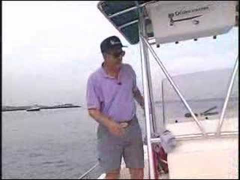 Long Island Fishing Report Snappers Long Island Fishing Report Snappers