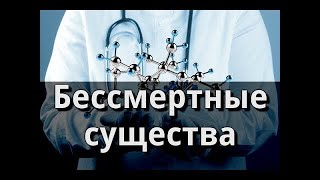 Всего 5 Минут И Тело Начнет Себя Лечить | Исцеляющая Матрица