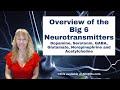 Neuropsychobiology: Dopamine, GABA, Serotonin and Acetylcholine