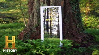 Portal To Parallel Universe Opens Through Mirror The Proof Is Out There Bermuda Triangle Edition