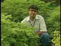 Como conter a evolução de voçorocas no meio rural - Dia de Campo na TV