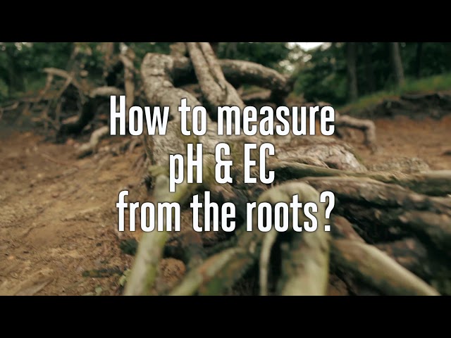 Watch (Français) Comment mesurer le pH et la CE à partir des racines? on YouTube.