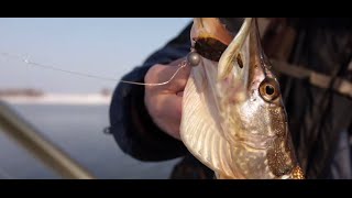 Видео о рыбалке №263