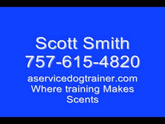 Diabetic Alert Dog Training Videos - Part 1