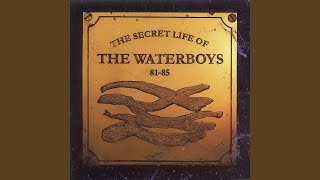 Watch Waterboys Out Of Control video