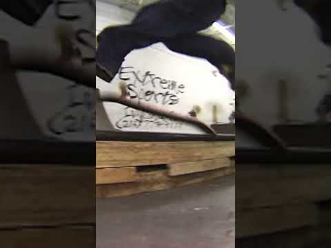 Chris Cole 1998 360 Flip Nosegrind Classic Skateboarding Shorts