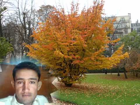 Aise Na Dekho Muje Pyar Ho Jayega by Naveed Awan