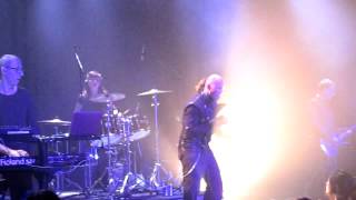 Watch Controlled Collapse Liar video