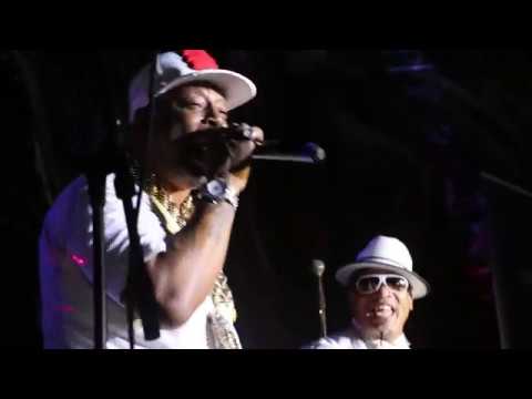 Live Performances