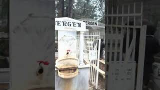 Bergen Acilarin Kadini.mezari Nerede? Ben Sizler Icin Gittim.