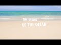 Israel "IZ" Kamakawiwoʻole - White Sandy Beach (Official Lyric Video)