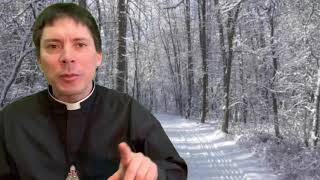 Perfection is a Journey - Fr. Mark Goring, CC