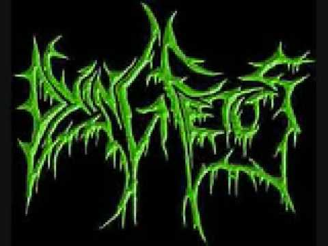 Wretched Flesh Consumption Video
