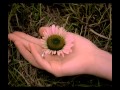 Amway India Nutrilite TVC
