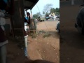 Real NAMO FANS