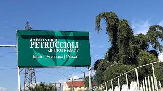 Brief Visit To Petruccioli Truffaut Garden Centre In France Including Mango Trees