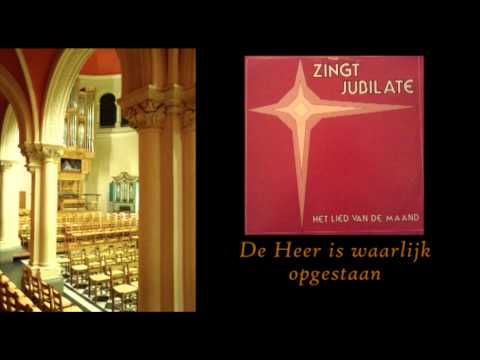 wat zijn vruchten