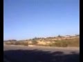 HORSE TRANS & VULTURES