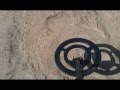 Buried History's Beach Hunt with Fisher F2 testing Kodak ZX3 Pin Pointer - Silver Found