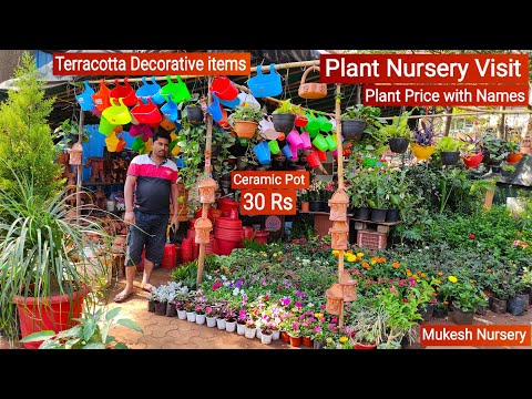 Plant Nursery Visit || Cheapest Plant Nursery || Plant Price with Names || Mukesh Nursery