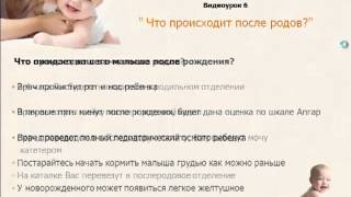 Что происходит когда вы приехали в роддом Что происходит когда вы приехали в роддом