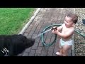 Babies Laughing At Pets | The Dodo