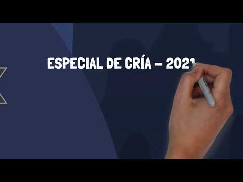 Uploads from ASOCIACION NUESTROS PASTORES BELGAS