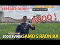 5 000 SVINJA A SAMO 5 RADNIKA !